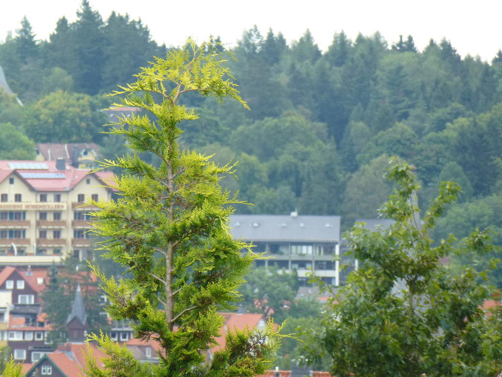 Harzhaus Willkommen Braunlage Esterno foto